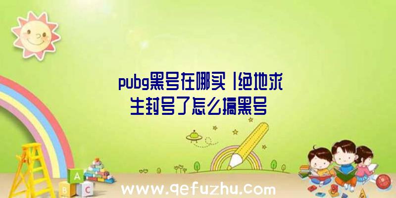 「pubg黑号在哪买」|绝地求生封号了怎么搞黑号